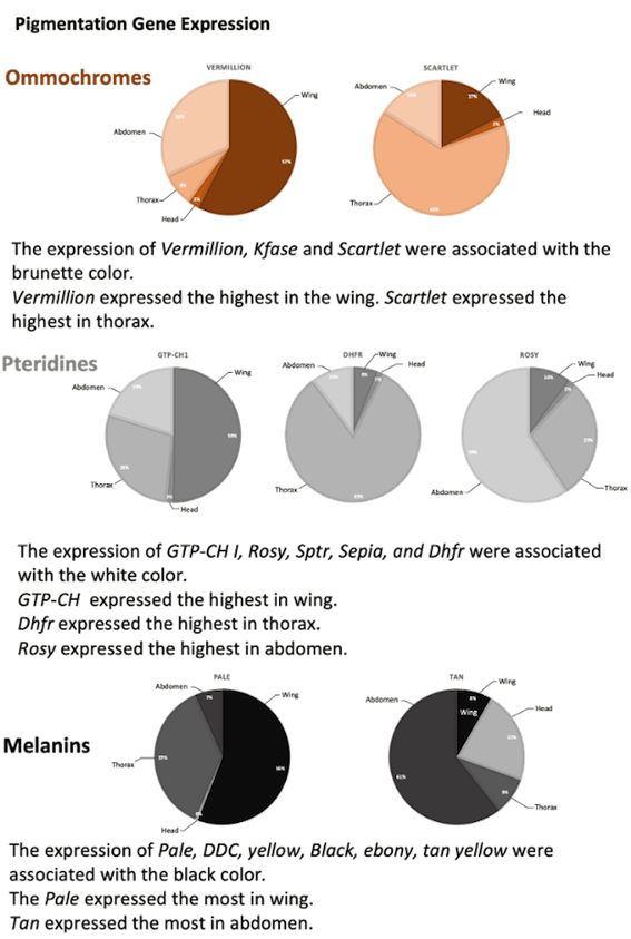 Psolodesmus mandarinus trascriptome